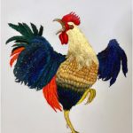 Rooster, Rooster crowing